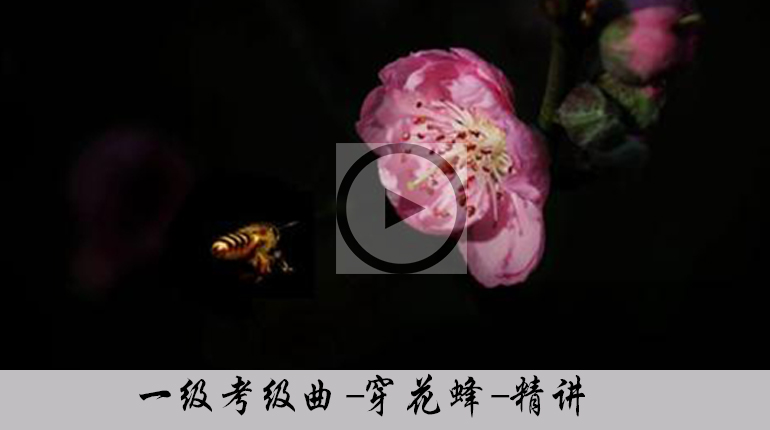 【一级】古筝考级曲《穿花蜂》视频讲解