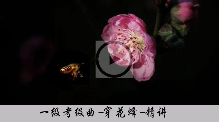 <b>【一级】古筝考级曲《穿花蜂》视频讲解教程</b>