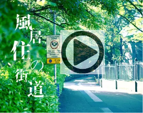 <b>古筝《风居住的街道》赵真教学视频教程—d调曲谱</b>