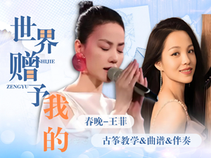 王菲春晚《世界赠予我的》古筝曲谱伴奏