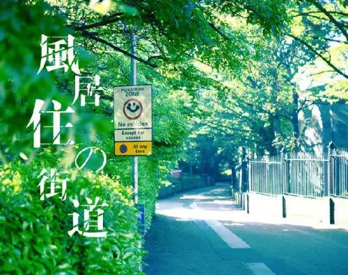 古筝《风居住的街道》简谱-赵真教学指法标记版