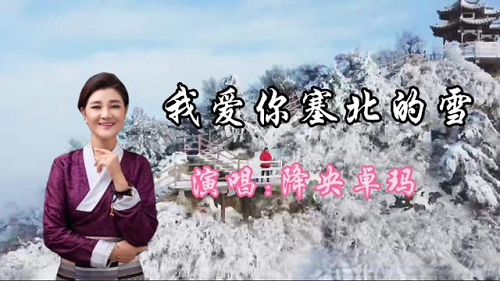 古筝曲《我爱你塞北的雪》D调简谱及伴奏音乐下载