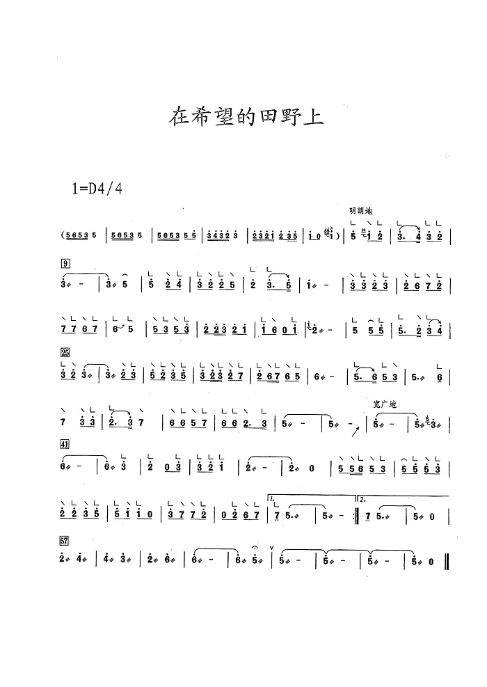 古筝曲《在希望的田野上》D调简谱及伴奏音乐下载