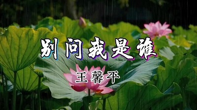 古筝曲《别问我是谁》演奏版简谱及伴奏音乐