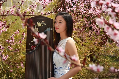 古筝曲《小美满.小嫣然》d调演奏版简谱