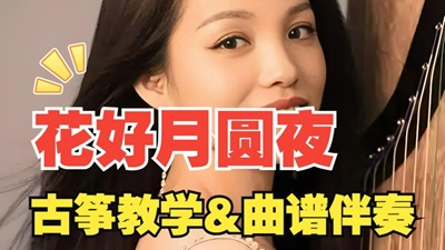 《花好月圆夜》古筝d调简谱及伴奏完整版